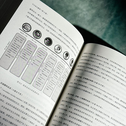 今日幼儿教育 第15版 教育治理与领导力丛书 王定华 商品图9