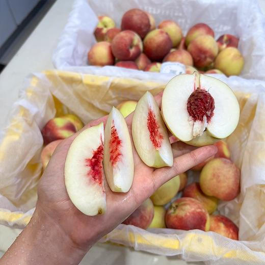 新疆珍珠枣蜜桃 油桃 商品图1