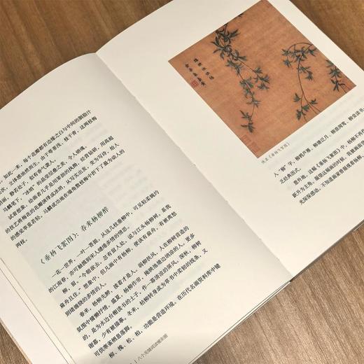 造极 读懂宋画的八个关键词 商品图1