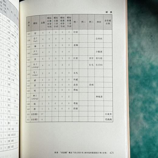 何为身份指称 金志军 语言研究 社会语言学 当代汉语语言生活 商品图14