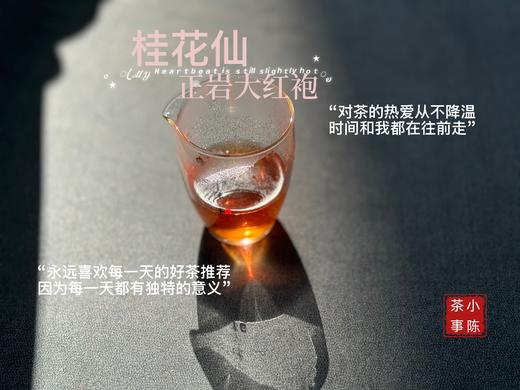 [会员福利]小陈茶事2025正岩大红袍《桂花仙》，牛栏坑坑主家的手作大红袍，桂皮香、桂花香，茶汤稠润、绵密似绸缎！ 商品图4
