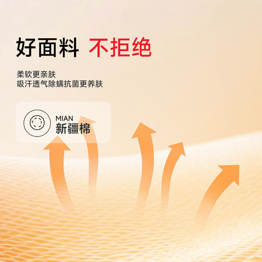 【100%棉】【DDS】大依优型大码男装立领半拉链长袖T恤纯棉卫衣休闲百搭运动风上衣 商品图2