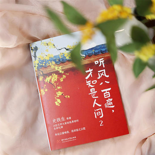听风八百遍,才知是人间.2 商品图1
