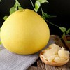 白肉蜜柚4粒装 商品缩略图4