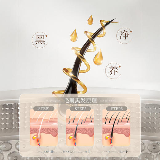 热卖！五黑植萃 滋养头皮 欧橘Orginese 何首乌人参净澈头皮毛囊洗发水 500ml/瓶 商品图4