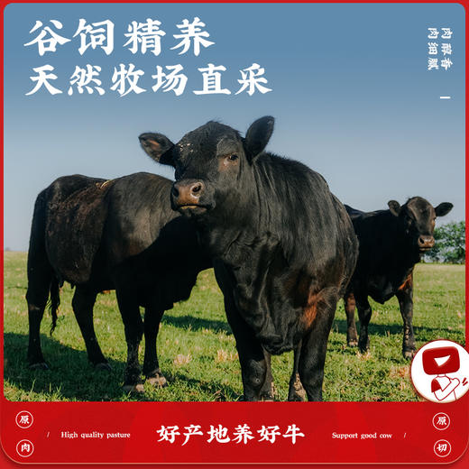 华牧鲜-阿根廷谷饲厚切肉眼/西冷牛排套餐 厚切锁汁 牛肉味浓郁，煎烤两吃 商品图3
