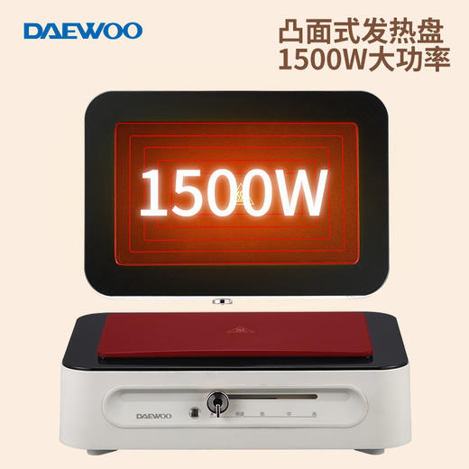 大宇多功能料理锅DYZG-451 商品图8