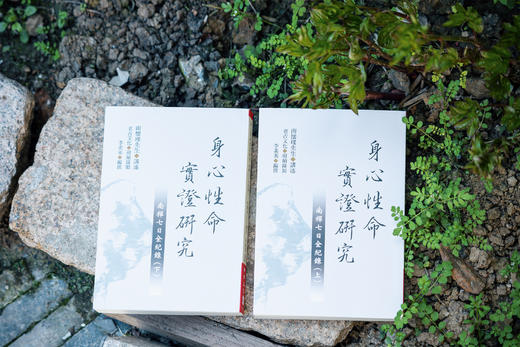 老古正版《身心性命实证研究一一南禅七日全纪录（上、下）》（繁体版）预售中 商品图5