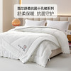 多喜爱 甄芯舒柔抗菌十孔春秋被/冬被/（拉链款）子母被系列hl【十孔纤维】【抗菌纤维】【提花磨绒】【织带工艺】蓬松温暖 柔软细腻 多款厚度 立高工艺/FX 商品缩略图0