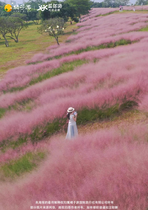 【秋日慢游】 陌上花公园+中英街1天游（中奥·南国奥园） 商品图1