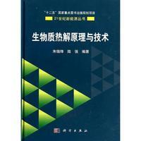 生物质热解原理与技术 商品图0