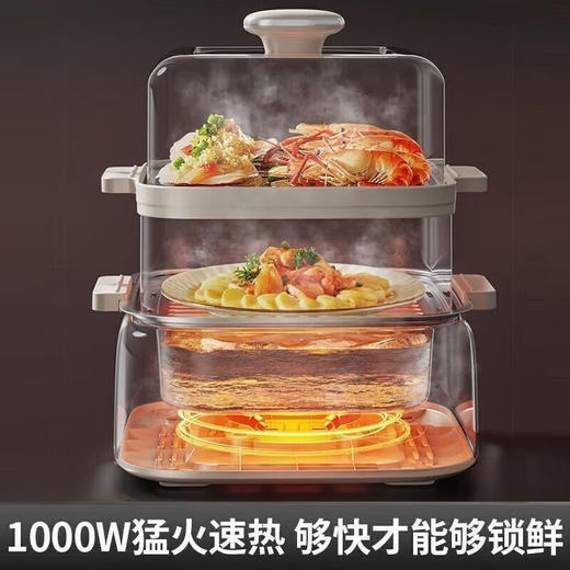 九阳电蒸锅   DZ100HG-GZ985 商品图3