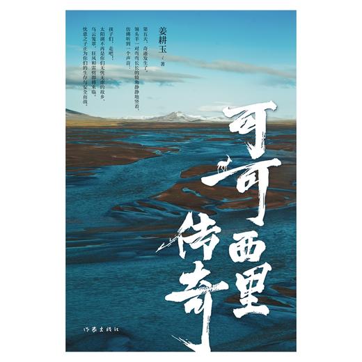 可可西里传奇 商品图1