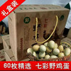 礼盒装【农家谷物喂养！现捡现发】正宗七彩山鸡蛋营养孕妇辅食宝宝初生蛋土鸡蛋10枚30枚60枚。ha 商品缩略图3