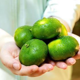 严选 | 涌泉蜜桔5斤装 高山果园直采现发