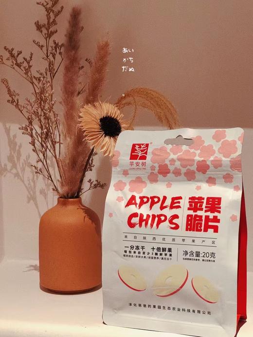 苹果冻干，自己好原料，无任何添加 商品图5
