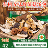 【厂商直发】有机菌菇汤包50g*2袋装有机菌菇干货东北特产煲汤包邮 商品缩略图4
