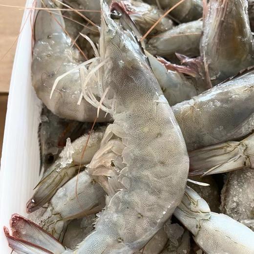 海捕白虾船冻锁鲜三斤装自用性价比都超高 商品图5