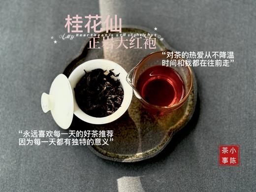 [会员福利]小陈茶事2025正岩大红袍《桂花仙》，牛栏坑坑主家的手作大红袍，桂皮香、桂花香，茶汤稠润、绵密似绸缎！ 商品图8