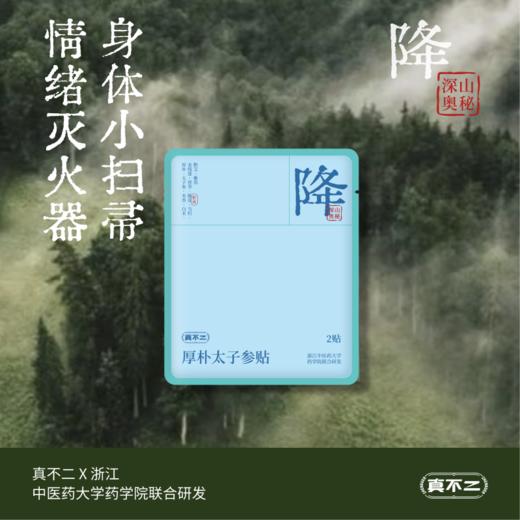 【真不二】厚朴太子参贴深山奥秘系列降火气上热下寒Y 商品图1