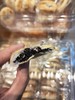 血糯米饼  糯叽叽 雪媚娘裹上软糯的血糯米，弹软拉丝 商品缩略图2
