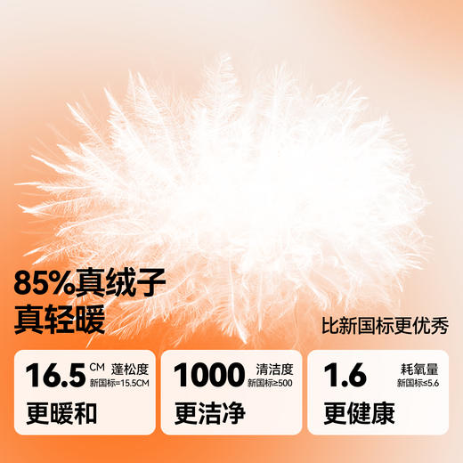 男女童短款羽绒服冬季新款安奈儿童装EM545618 商品图2