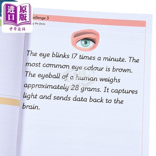 【中商原版】Collins Year 4 Handwriting Targeted Practice Workbook 柯林斯书写针对性练习册 四年级 英文原版 小学英语 商品图3