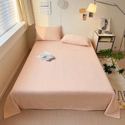 【品牌直发】加倍生活 A类加厚纯色牛奶绒床笠/床单 8色可选 秋冬保暖牛奶绒床单 可机洗水洗 商品图7