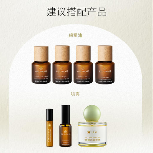 艾薇丹 石膏扩香挂件石膏片 商品图2