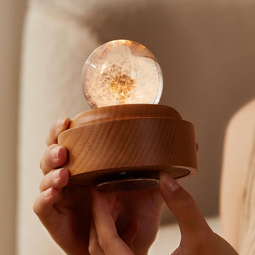 初心| 蒲公英水晶球音乐盒 商品图1