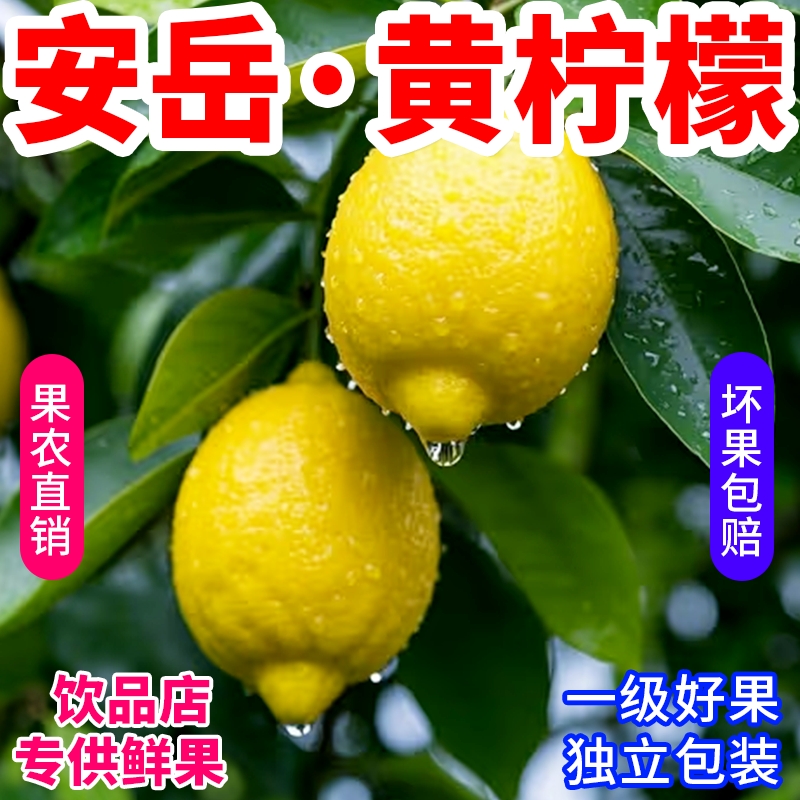 四川安岳黄柠檬 皮薄  香甜新鲜水果应季现摘泡水柠檬片当季鲜果柠檬