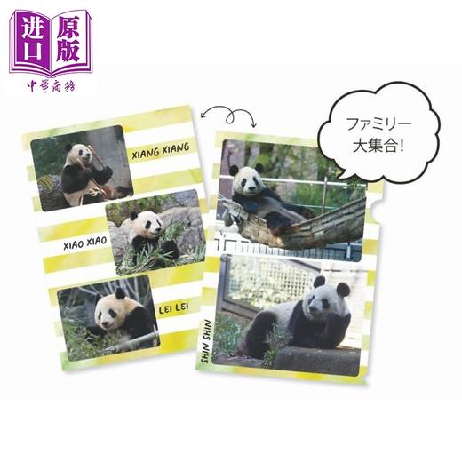 预售 【中商原版】大熊猫力力与真真纪念书 日文原版日韩 リーリー＆シンシンメモリアルクリアファイルBOOK 商品图1