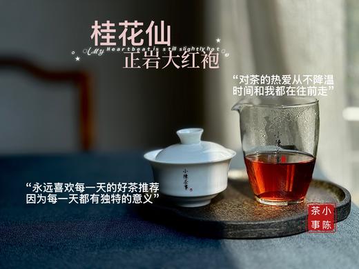 [会员福利]小陈茶事2025正岩大红袍《桂花仙》，牛栏坑坑主家的手作大红袍，桂皮香、桂花香，茶汤稠润、绵密似绸缎！ 商品图9