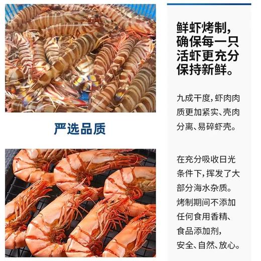 九节虾干特大干虾斑节对虾烤虾干即食海鲜干货东山岛 商品图2