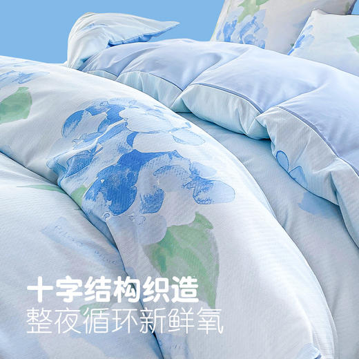 匹鲁设计款暖氧四件套床单款微磨毛透气不闷热7A级物理抗菌★★ 商品图2