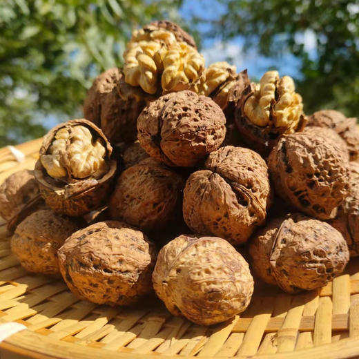 古树纸皮核桃 | 云南大理 商品图0