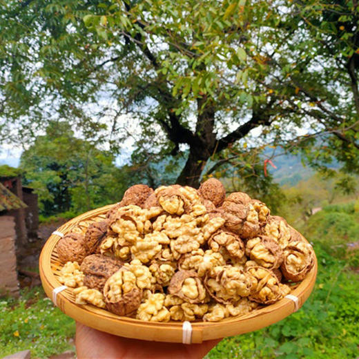古树纸皮核桃 | 云南大理 商品图2