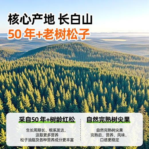 西域美农 25年新货松子仁280g 东北手剥开口松子 商品图1