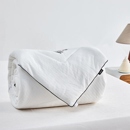 多喜爱 甄芯舒柔抗菌十孔春秋被/冬被/（拉链款）子母被系列hl【十孔纤维】【抗菌纤维】【提花磨绒】【织带工艺】蓬松温暖 柔软细腻 多款厚度 立高工艺/FX 商品图10