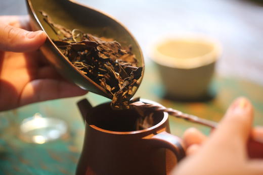 忆太白 2010年三星茶王 商品图2