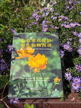 北京重点保护野生植物图谱  &3229