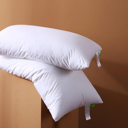 Z.M.N.(法国啄木鸟)全棉经典简约羽丝绒枕-斯诺（一对装）ZXZ-0024 商品图1