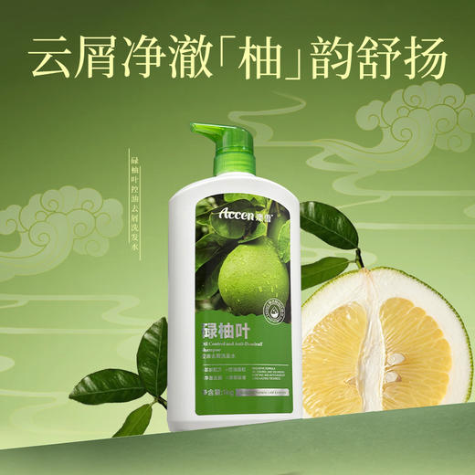 澳雪碌柚叶控油去屑洗发水1kg*2瓶装 商品图1
