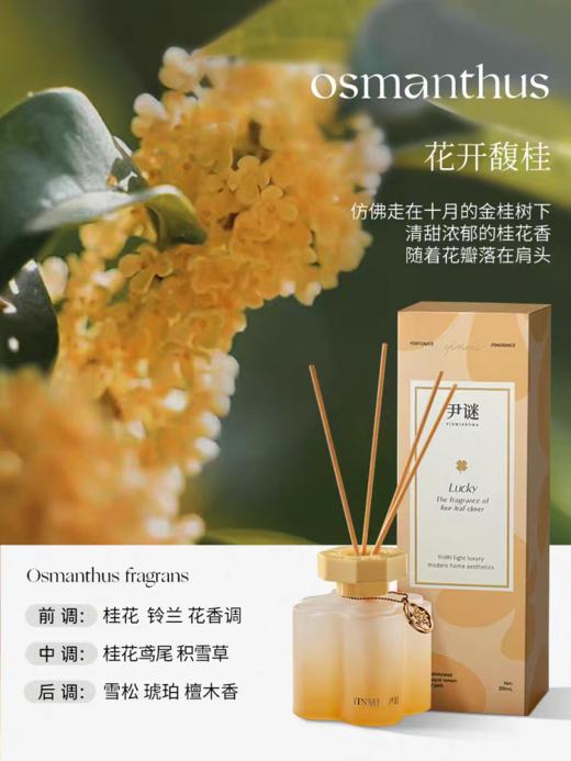 尹谜幸运系列无火香薰 商品图4