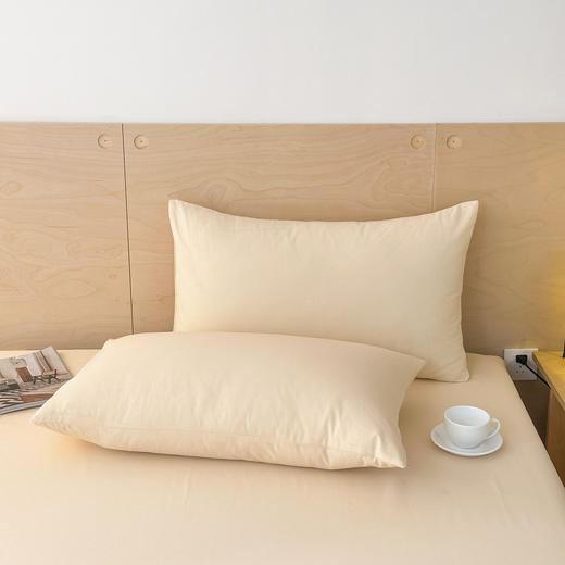 100%棉A类纯棉磨毛床单/床笠  可机洗水洗 A-5443   加倍生活 商品图5