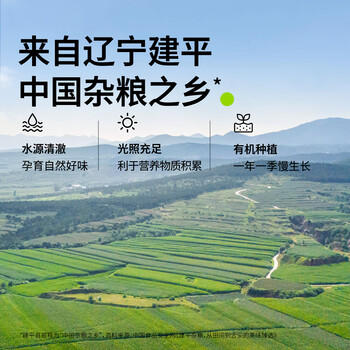 田喜粮鲜有机黑五谷 混合杂粮 黑杂粮 黑米黑小米黑麦仁黑藜麦黑芝麻400g /粮油调味 /杂粮 /谷米类 商品图2