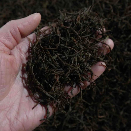 龙坞仇姐姐金牌九曲红梅 商品图2