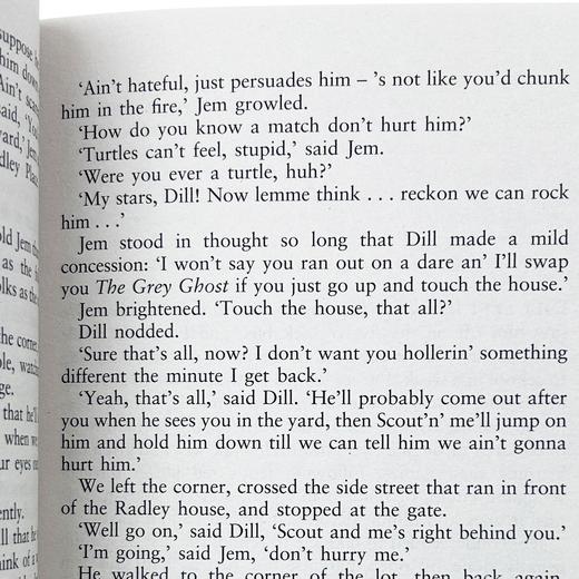 杀死一只知更鸟英文版 To Kill a Mockingbird 英文原版小说 世界经典名著 进口英语学习原著书籍可搭flipped相约星期二追风筝的人 商品图2