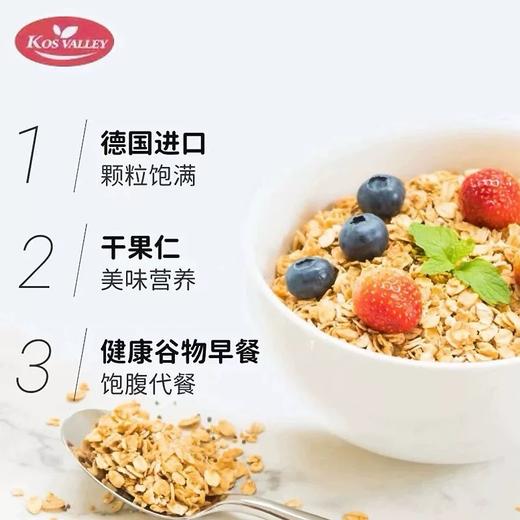 德国Kos valley高纤粗粮即冲燕麦片/提子干果仁燕麦片/水果干果仁燕麦片-1kg 商品图3