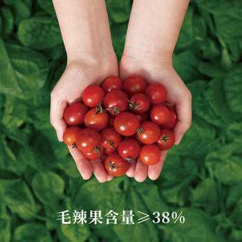 山野生机贵州红酸汤火锅底料0添加凯里酸汤鱼面叶米线肥牛番茄汤底75g*4包 /粮油调味 /调味品 /火锅底料/蘸料 商品图0